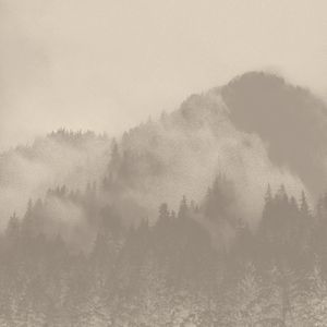 A49010 – Bosco - Wallpaper by Zambaiti Contract
