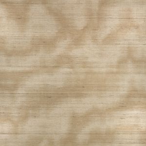 Caractère Wallcovering Spun Gold - Wallcovering by Zinc Textile