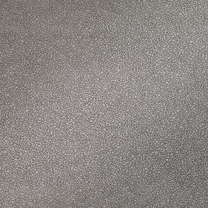 Cortina Wallcovering Tungsten - Wallcovering by Zinc Textile