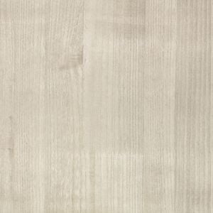 Paulownia Wallcovering Moonbeam - Wallcovering by Zinc Textile