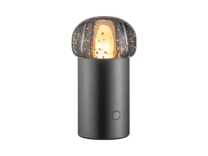 IRIS - LED glass and aluminium Outdoor table lamp cordless - Table lamp by Blomus