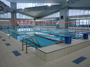ELEMENTI - Porcelain stoneware Pool liner - Floor tile-stone by Casalgrande Padana