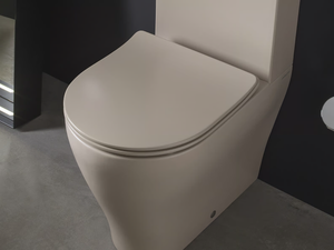 APP - Plastic toilet seat with soft close - Toilet seat by Ceramica Flaminia