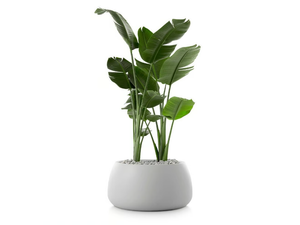 GOBI 3 - Plastic garden vase - Styling by Diabla