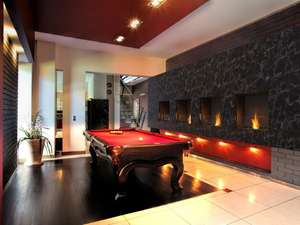 FLEX 18SS - Bioethanol glass and steel Fireplace insert - Other by EcoSmart Fire