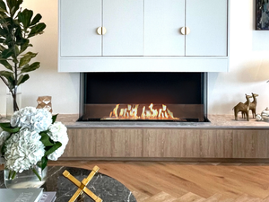 FLEX 50BY - Bioethanol steel Fireplace insert with Panoramic Glass - Other by EcoSmart Fire