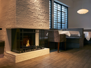GRATE 18 - Bioethanol Fireplace insert - Other by EcoSmart Fire