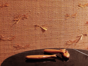 NOSY BE - Fire retardant raffia wallpaper - Wallpaper by Élitis