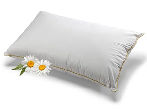 CHAMOMILE - Rectangular polyester pillow - Accessories by Frauflex