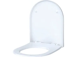 ACANTO - Duroplast toilet seat - Toilet seat by Geberit