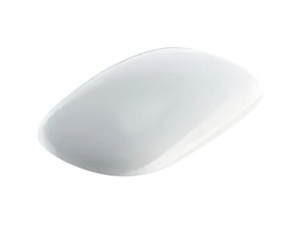 CITTERIO - Duroplast toilet seat - Toilet seat by Geberit