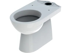 SELNOVA - Floor mounted Vitreous China toilet - Toilet seat by Geberit