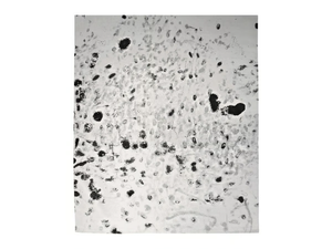 BRUCE LABRUCE - Custom handmade rug - Rug by HENZEL STUDIO