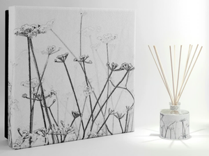 PENUMBRA Premium - Tabacco e Agrumi - Natural stone Air freshener dispenser - Accessories by IWISHYOU