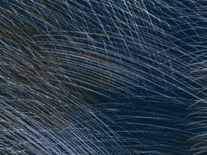 LEPO - Washable nonwoven wallpaper - Wallpaper by Jannelli&Volpi
