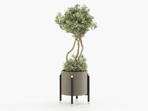 ROSIE - Walnut vase - Styling by Laskasas