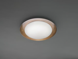 CREW_1 - LED glass and iron ceiling light - Ceiling lamp by Linea Light Group
