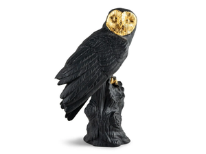 OWL (BLACK-GOLD) - Porcelain decorative object - Styling by Lladró