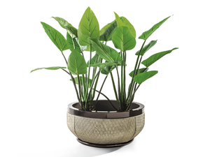 GODWIN CACHEPOT - Round plant pot - Accessories by Longhi