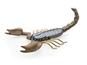 SCORPION SAND - Ceramic decorative object - Styling by Mambo Unlimited Ideas