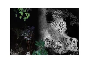 AT NIGHT - Tapestry - Screens by Moroso