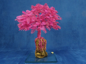 PINK CURLS - Aluminium and olive wood sculpture - Styling by Mosche Bianche