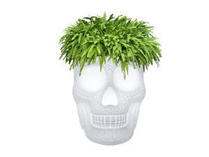 MEXICO - Polyethylene garden vase with Light - Styling by Qeeboo