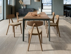 COMPASSO - Ash chair with integrated cushion - Accessories by Quadrifoglio Group