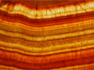 Backlit onyx - Onyx wall/floor tiles - Wall tile-stone-brick by RAMA 1956