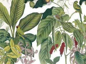 ANDAMAN COULEUR - Landscape wallpaper - Wallpaper by Ressource