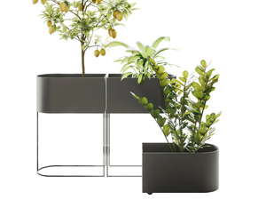 WINK - Painted metal plant pot - Accessories by Ronda Design