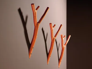 AST - Wall-mounted coat rack - Accessories by Rosconi