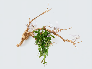 VOA MAGICAL SPRIG & NEST SMALL - LED handmade bronze wall lamp - Wall lamp by Serip