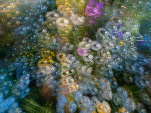 STELLE DI TERRA - Ecological wallpaper - Wallpaper by STYL’EDITIONS