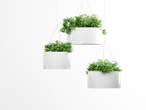 GREEN CLOUD - Hanging aluminium plant pot - Accessories by Systemtronic