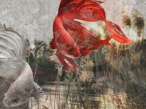 RIO - Wallpaper - Wallpaper by Tecnografica