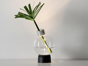BULBOVASO - LED rechargeable glass table lamp - Table lamp by Vesoi