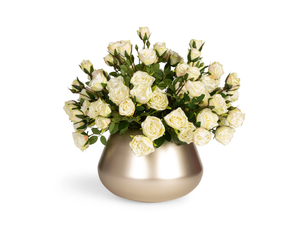 BEAN ROSES - Floral composition with glass vase - Styling by VGnewtrend