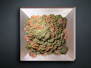 BEGONIA - Vegetal frame - Accessories by VGnewtrend