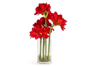 ETERNITY AMARYLLIS RADISH - Floral composition with glass vase - Styling by VGnewtrend