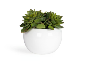 GREEN BALL - Floral composition with ceramic vase - Styling by VGnewtrend