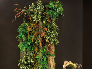KALALAU - Vegetal frame - Accessories by VGnewtrend
