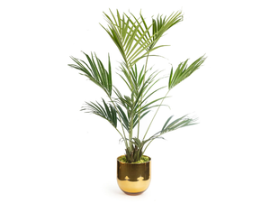 KENTIA PALM - Floral composition with glass vase - Styling by VGnewtrend