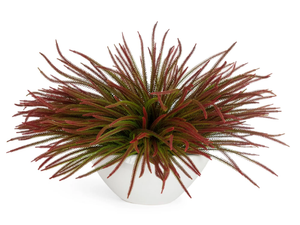 SLIMPINE BUSH - Floral composition with ceramic vase - Styling by VGnewtrend