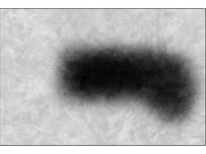BLUR 18 - Rectangular cotton rug - Rug by VIDAME EDITIONS