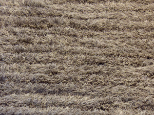 Aapa - Rug by Woodnotes