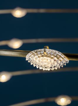 Petits Bijoux by Catellani & Smith - view 6