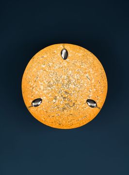 Stchu-Moon SR by Catellani & Smith - view 2