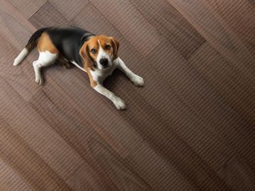 Tatami by Cadorin Group - view 5