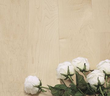 Canadian Hard Maple by Cadorin Group - view 2